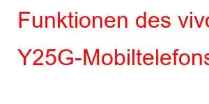 Funktionen des vivo Y25G-Mobiltelefons