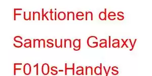 Funktionen des Samsung Galaxy F010s-Handys