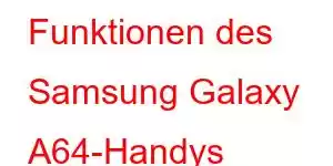 Funktionen des Samsung Galaxy A64-Handys