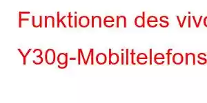 Funktionen des vivo Y30g-Mobiltelefons