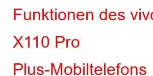 Funktionen des vivo X110 Pro Plus-Mobiltelefons