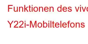 Funktionen des vivo Y22i-Mobiltelefons