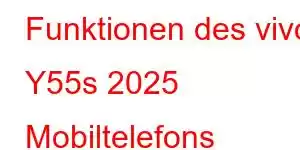 Funktionen des vivo Y55s 2025 Mobiltelefons